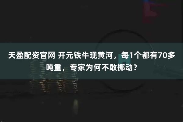 天盈配资官网 开元铁牛现黄河，每1个都有70多吨重，专家为何不敢挪动？